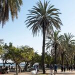 Провинция Барселона Матаро