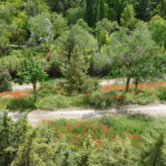 Провинция Сеговия