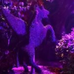 Комунидад Мадрид Заколдованный лес