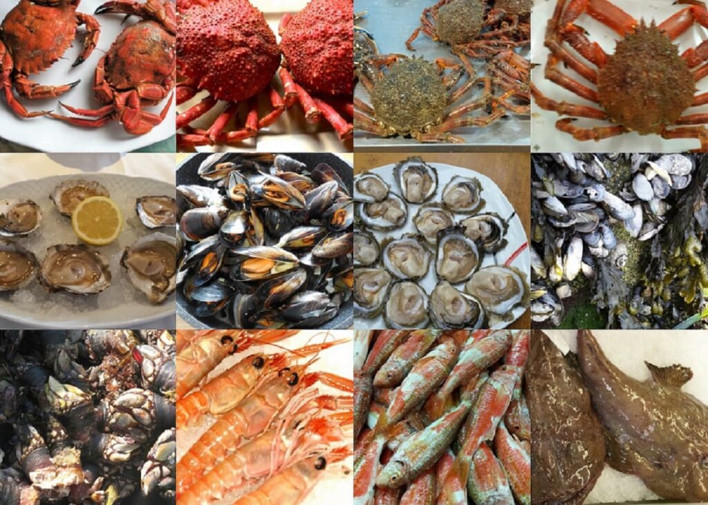 Морепродукты Галисия