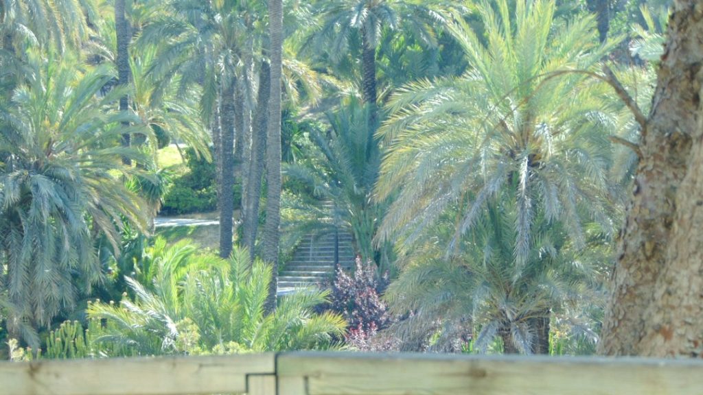 Эльче Аликанте Испания