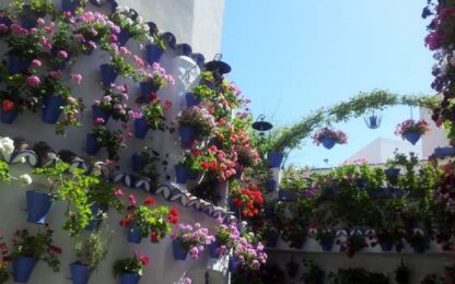 Кордовские дворики