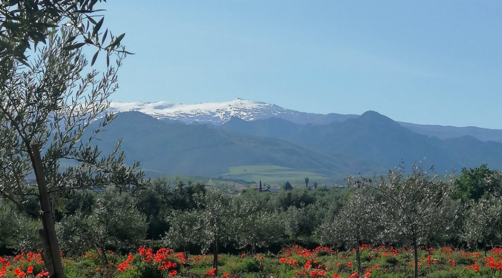 Андалусия Сьерра Невада